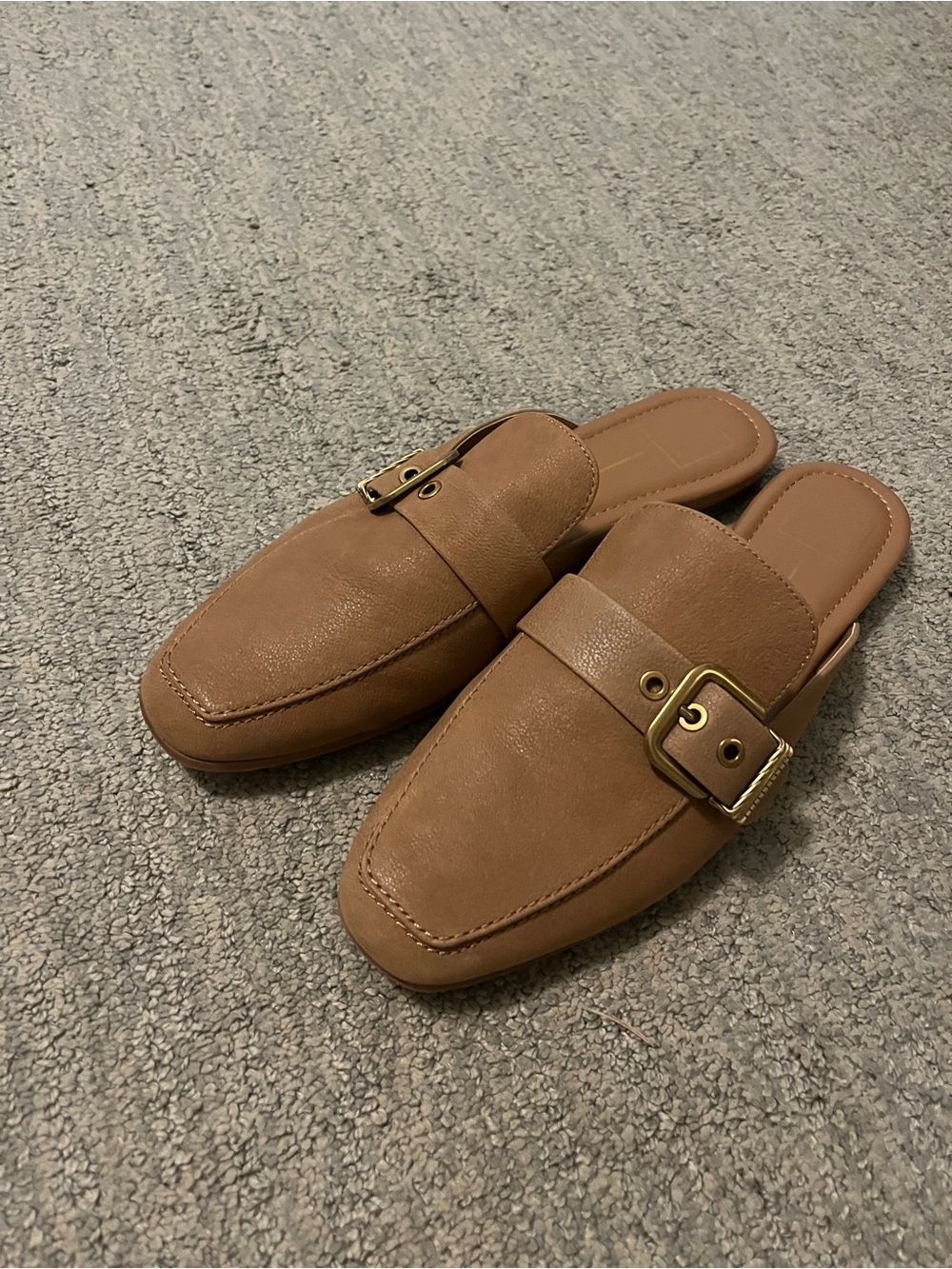 Dolce Vita Brown Slip-On Buckles and a Mules